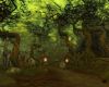 Warhammer Online - 21